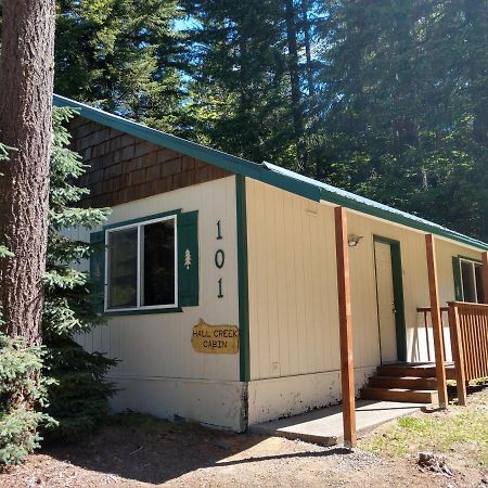 Hall Creek Cabin Packwood Dış mekan fotoğraf