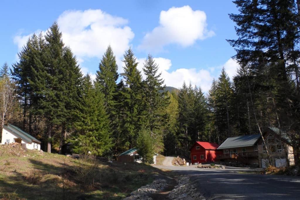 Hall Creek Cabin Packwood Dış mekan fotoğraf
