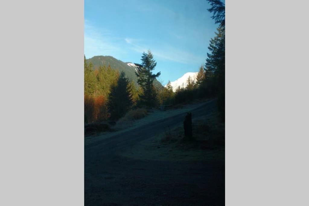 Hall Creek Cabin Packwood Dış mekan fotoğraf