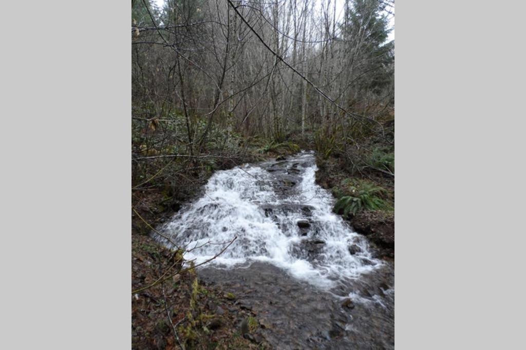 Hall Creek Cabin Packwood Dış mekan fotoğraf