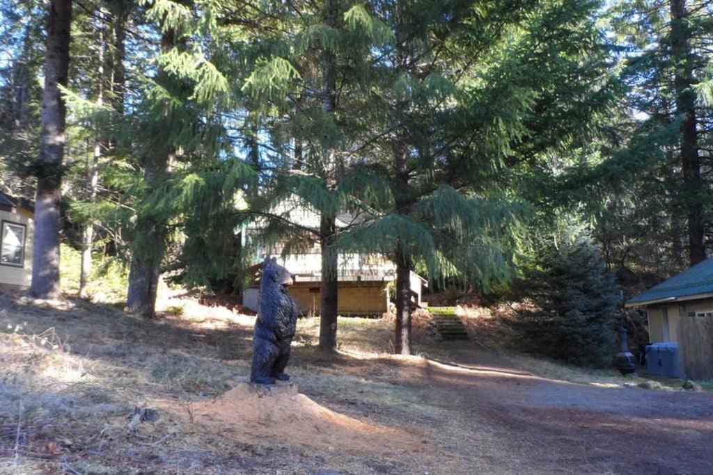 Hall Creek Cabin Packwood Dış mekan fotoğraf