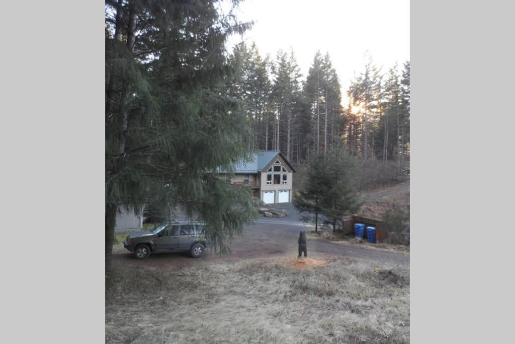 Hall Creek Cabin Packwood Dış mekan fotoğraf