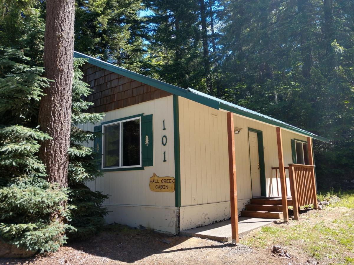 Hall Creek Cabin Packwood Dış mekan fotoğraf