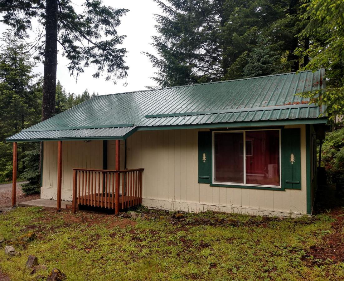 Hall Creek Cabin Packwood Dış mekan fotoğraf